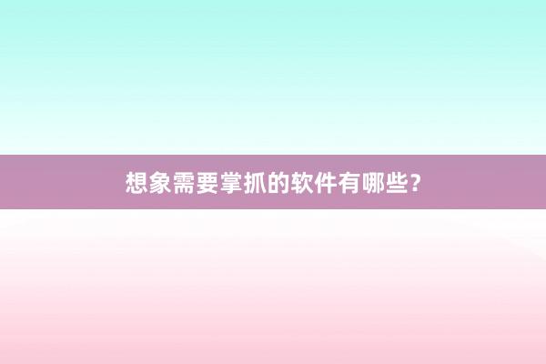 想象需要掌抓的软件有哪些？