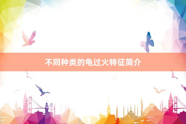 不同种类的龟过火特征简介